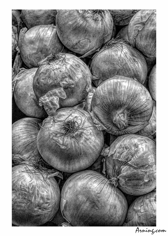 Onions in Black and White