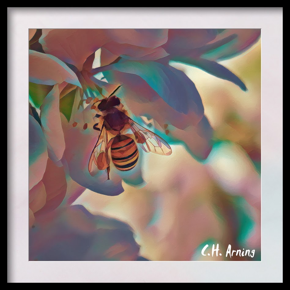 Spring Bee