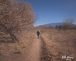 Walking the Bosque