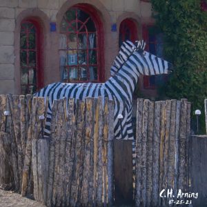 Zebra Neighbor