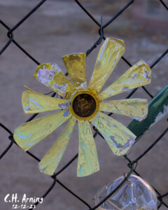 Fence Flower