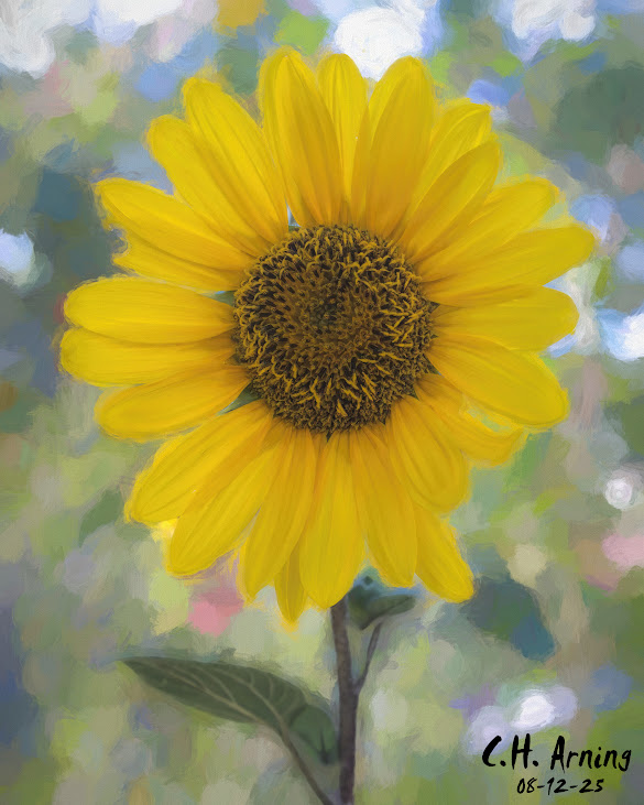 Summer’s Crown