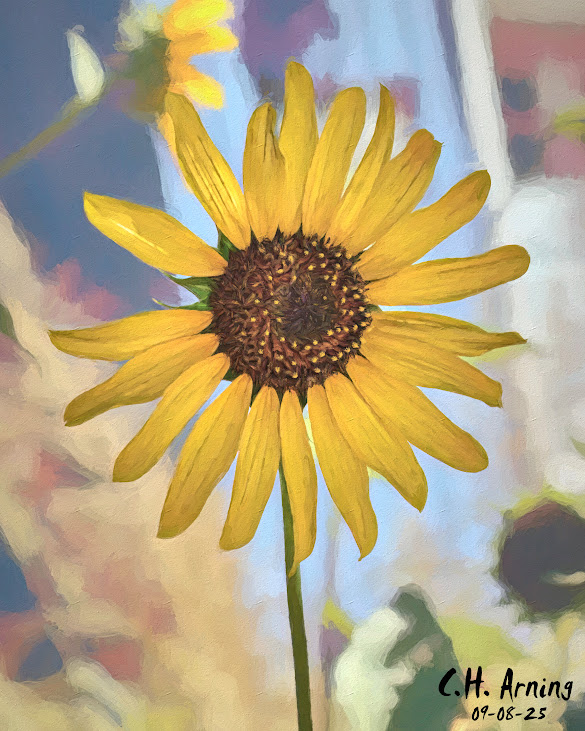 Silent Bloom