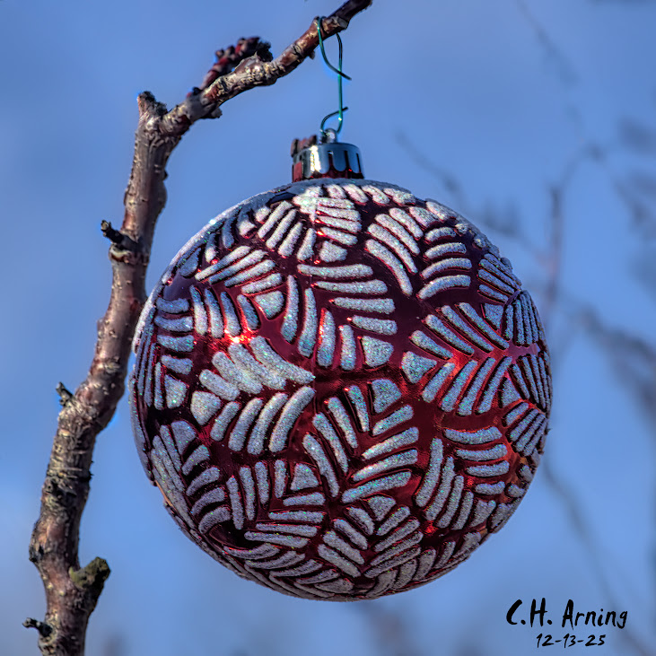Winter Ornament