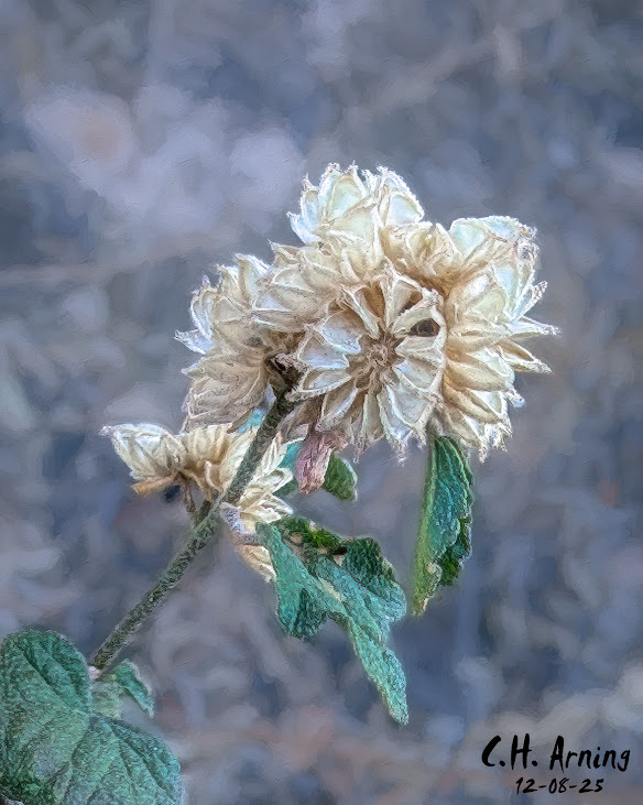 Season’s Remainder