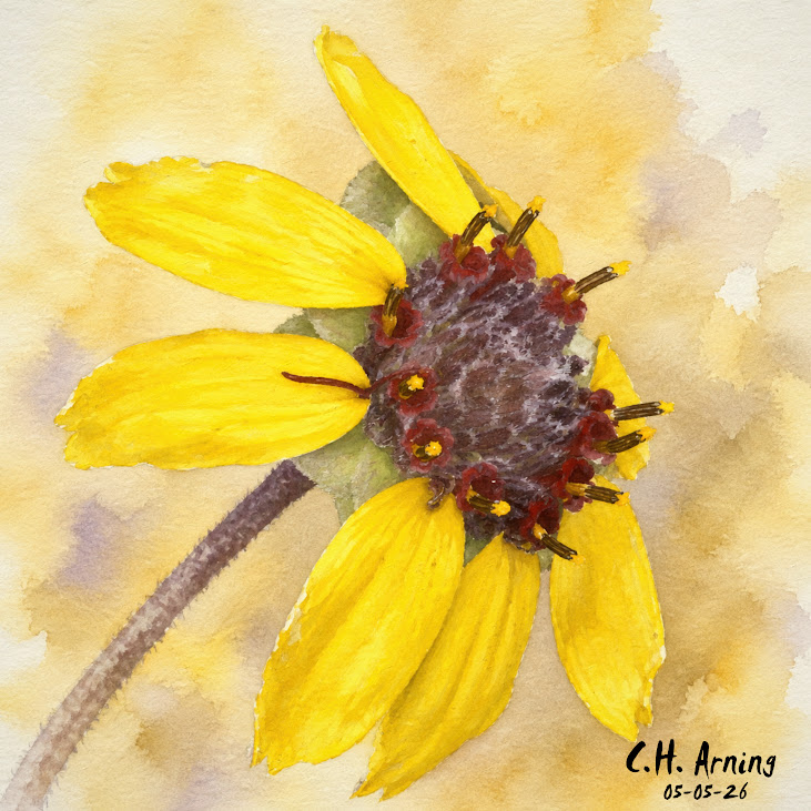 Golden Petals