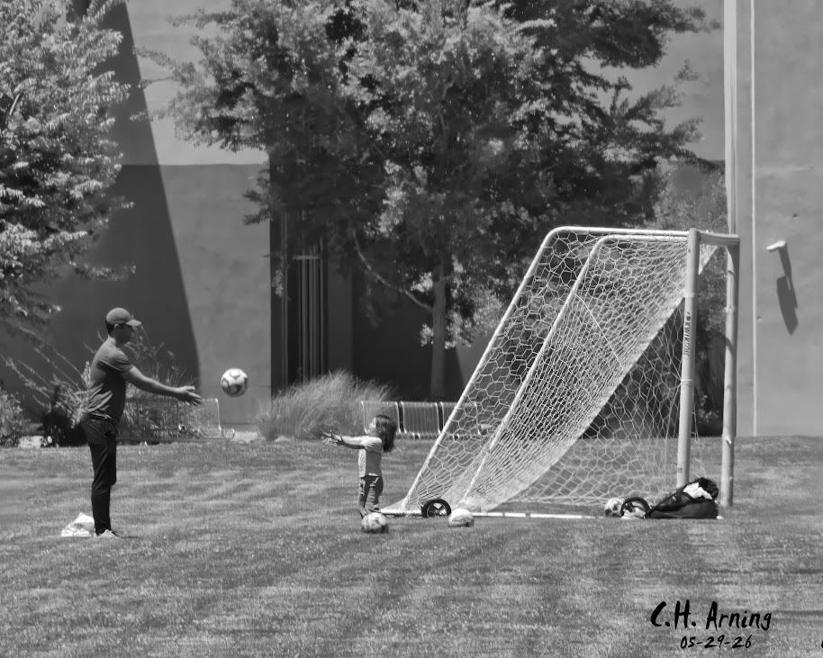 Summer Toss