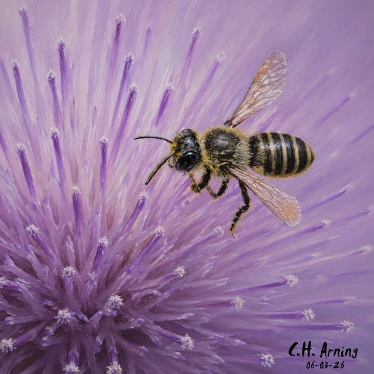 Thistle Dance