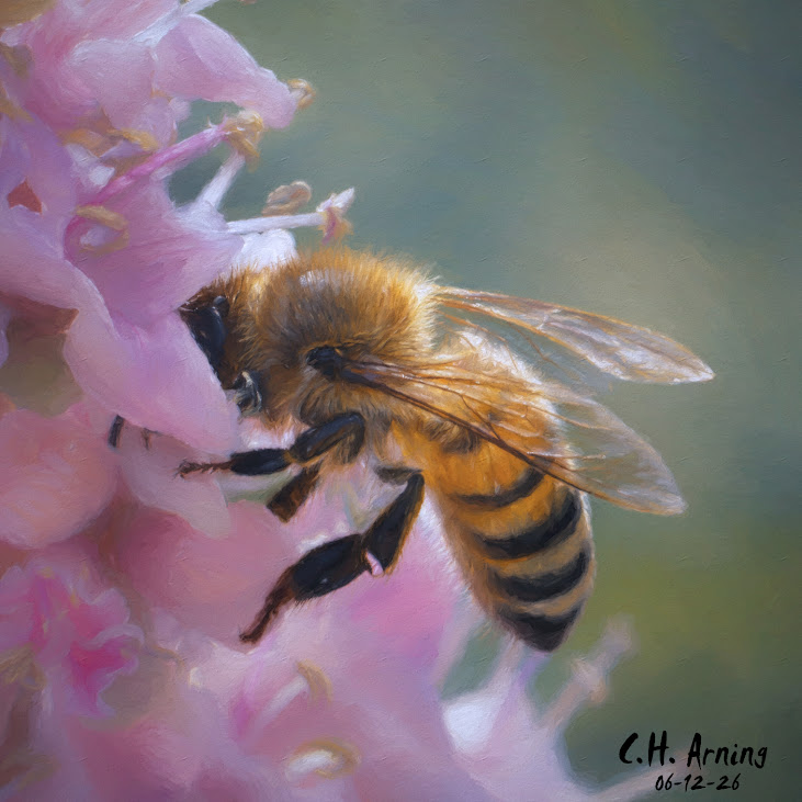 Blossom Visitor