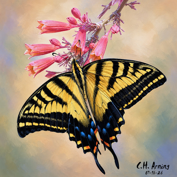 Painted Wings