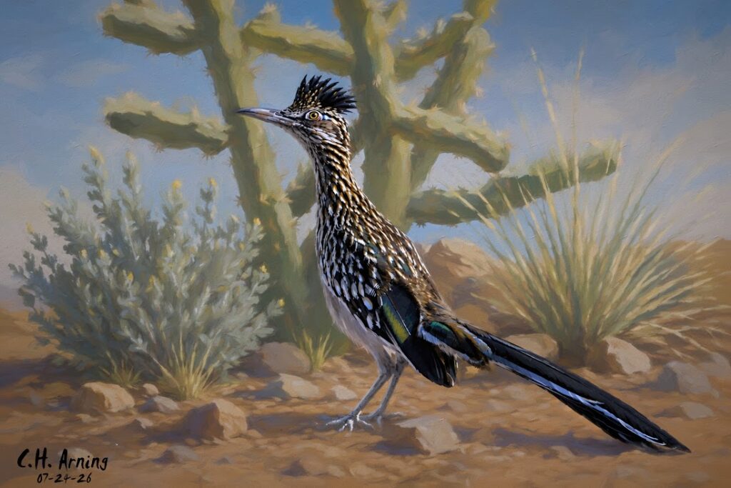 Southwest Spirit