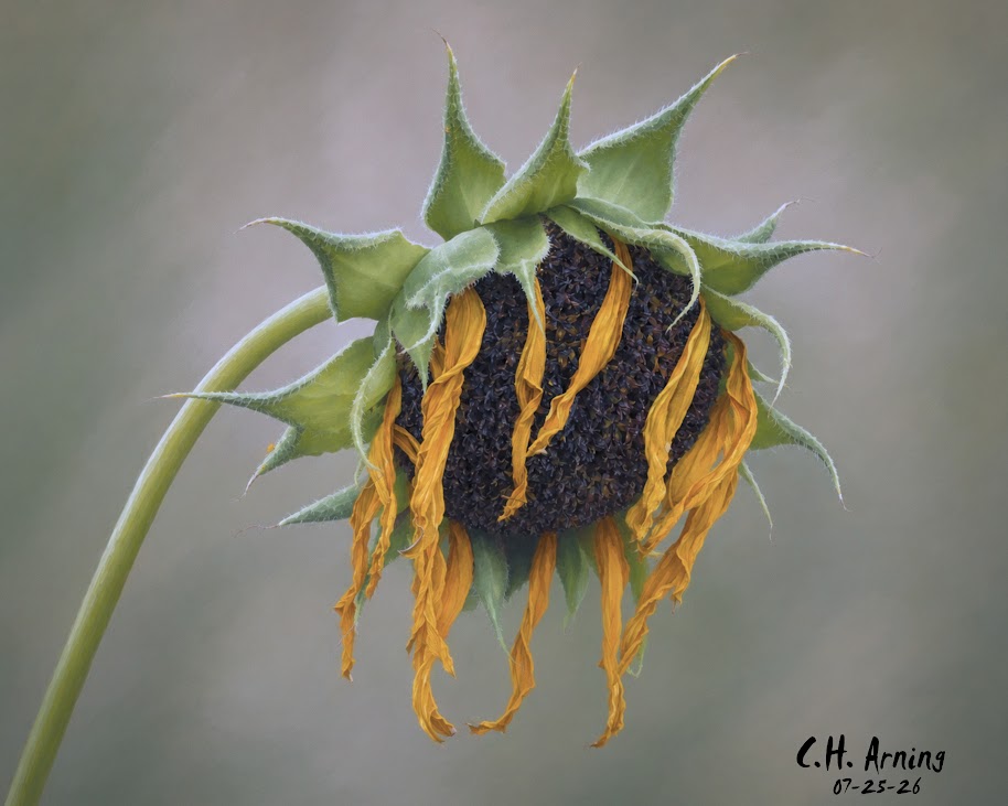 Seed Keeper