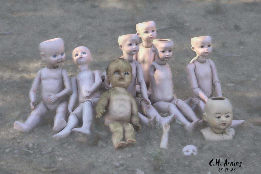 Disturbing Assembly