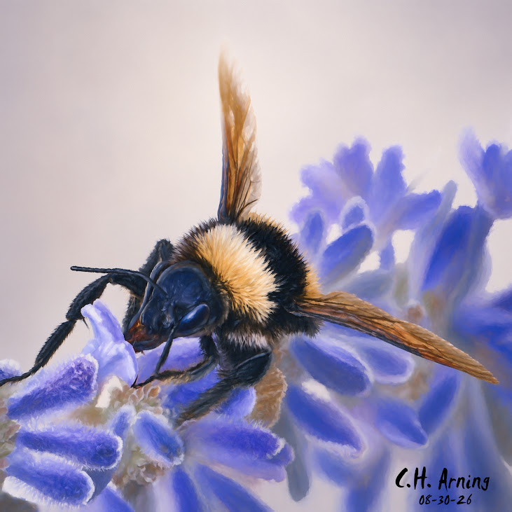 BioPark Bumblebee