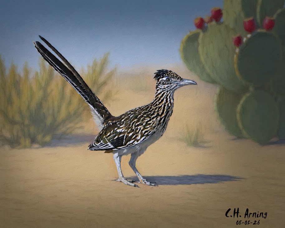 Urban Roadrunner