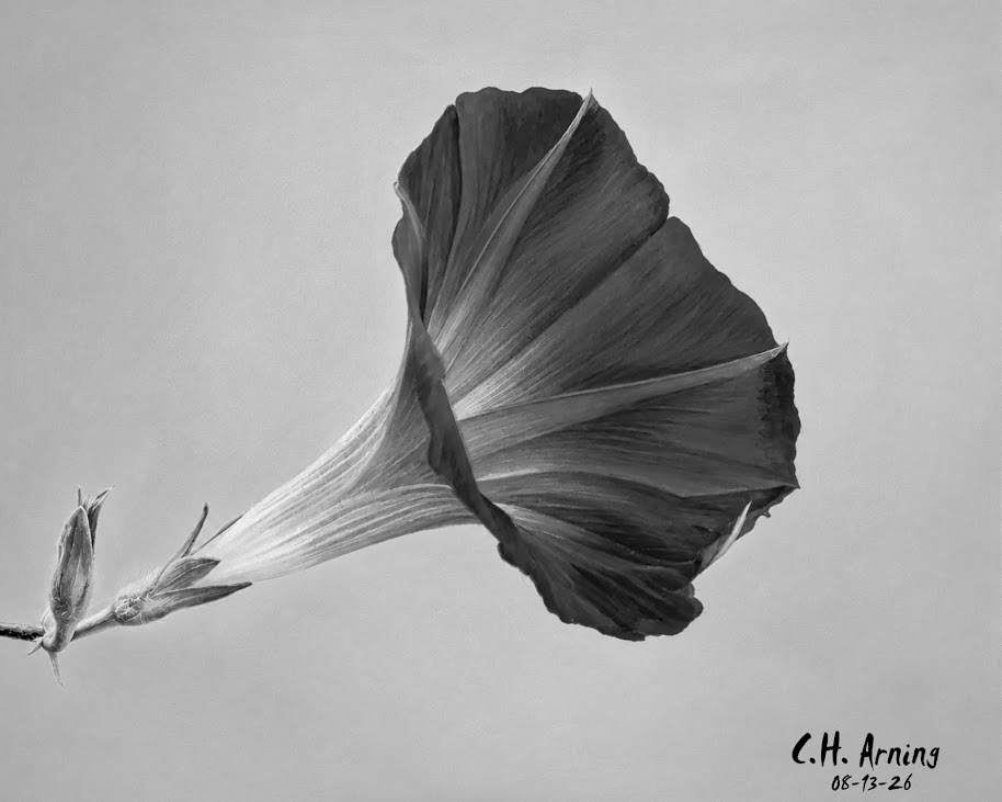 Quiet Glory