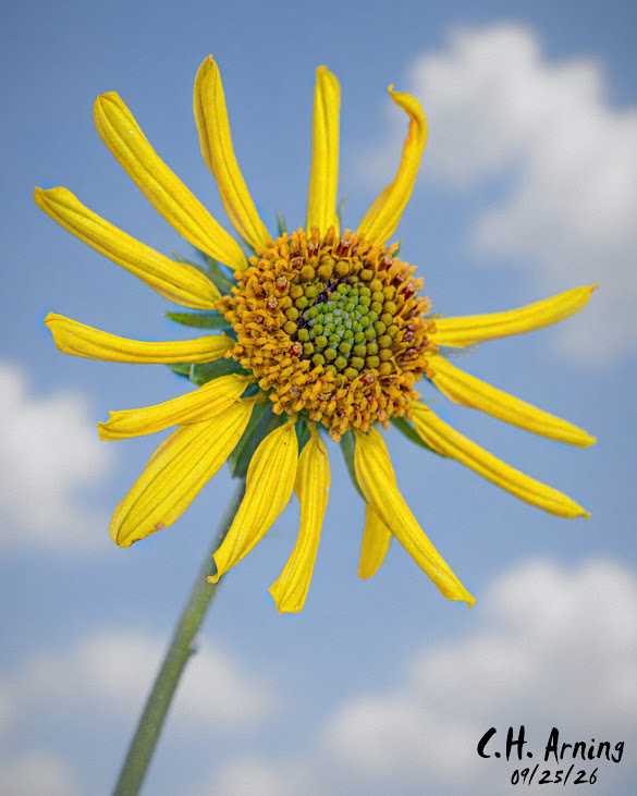 Reaching Outward